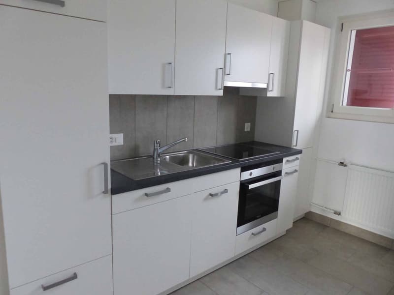 Appartement de 3.5 pièces  2? étage  Rue France 14 (3)
