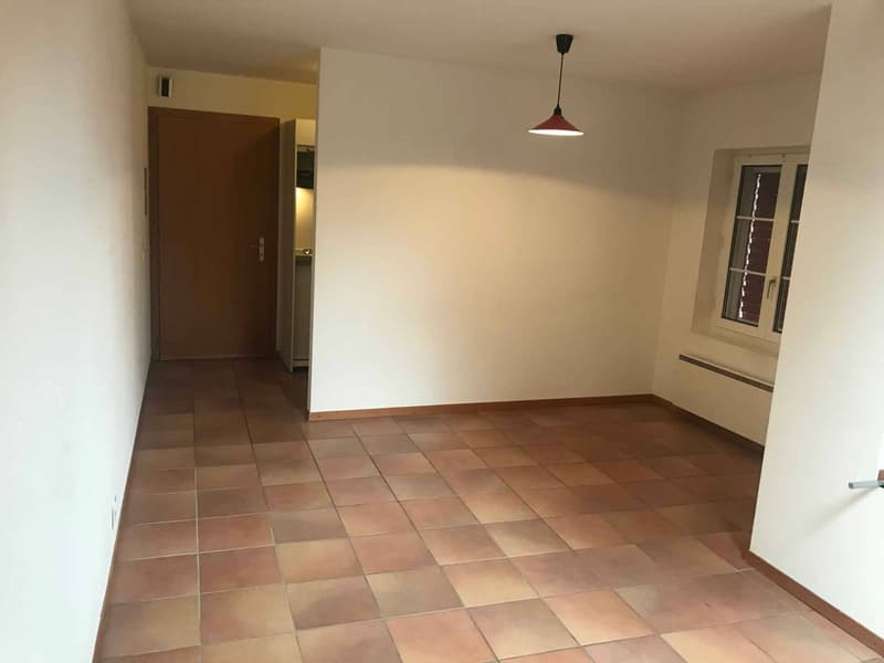 Studio de 27 m2 au centre du village d'Agiez (1352) (2)