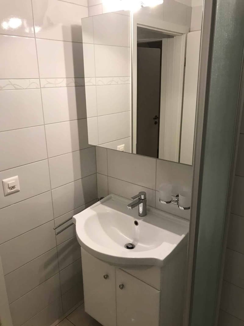 Magnifique appartement de 4.5 pièces à louer à Grandson (1422) (7)