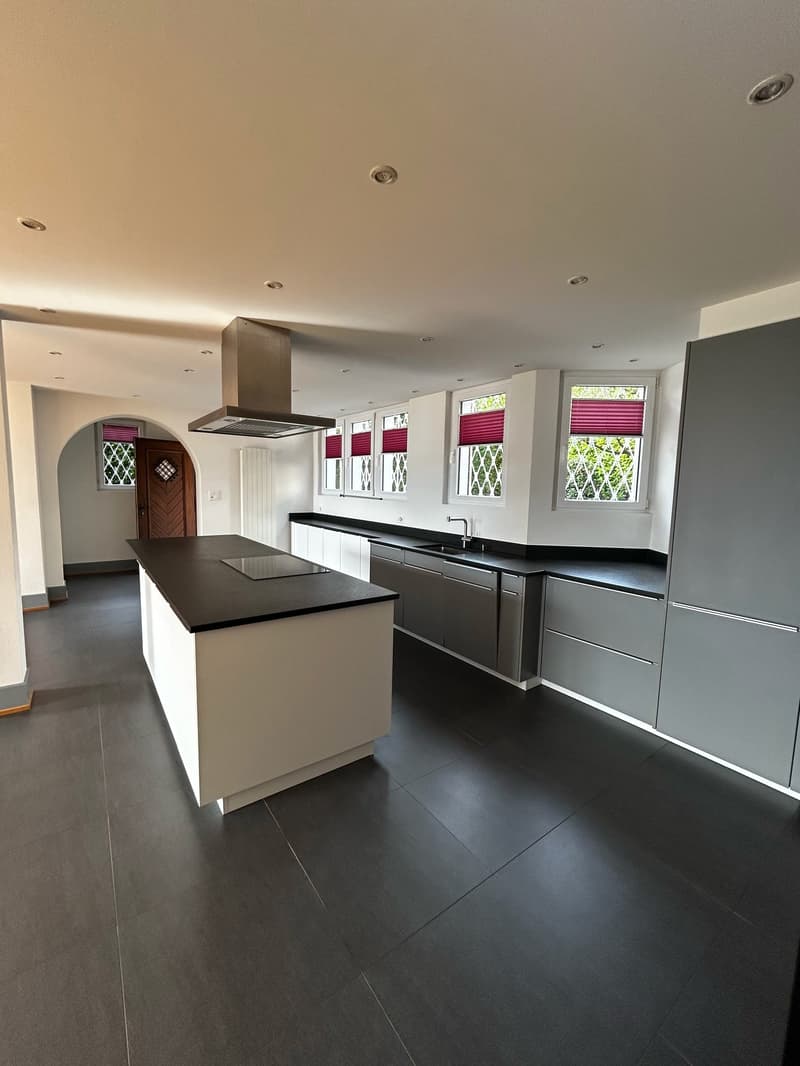Spacieux appartement avec terrasse, jardin et vue panoramique sur le lac à Montreux (3)