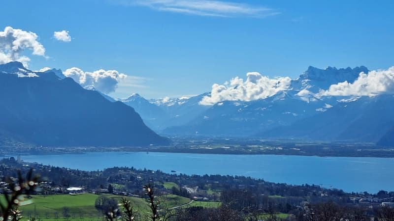 Belle villa jumelle magnifique vue lac et Alpes ! 8.5p. jardin, 145 m2 (1)