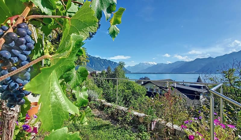 Très belle maison de charme, magnifique vue sur le lac et les Alpes ! (11)