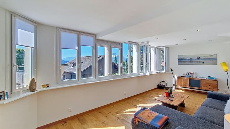 Plein centre charmant appartement 3.5 p. entièrement rénové, avec vue! (3)