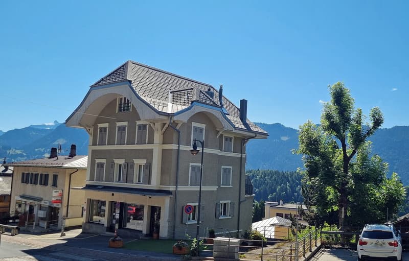 Plein centre charmant appartement 3.5 p. entièrement rénové, avec vue! (12)
