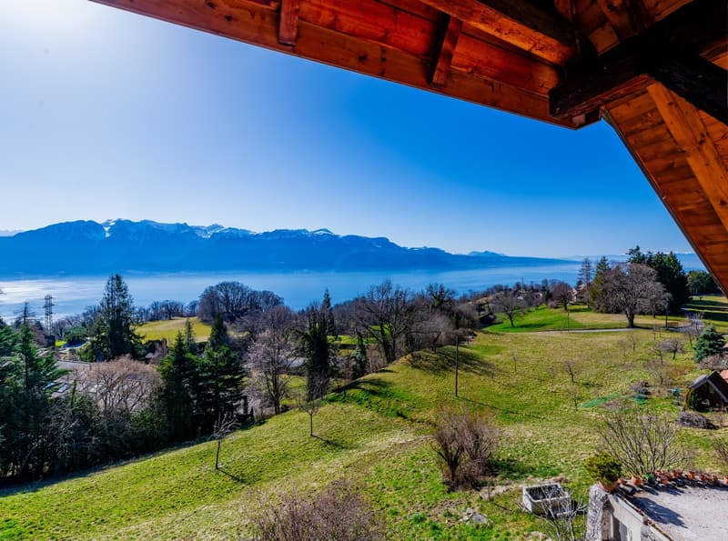 Magnifique propriété située dans un cadre extraordinaire ! (1)