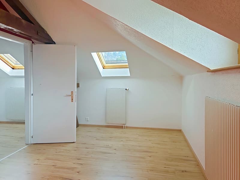 Charmante maison villageoise 3 logements, grand jardin et belle vue ! (8)