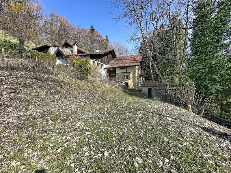 Charmante ferme de 3 appartements + annexes à rénover ! (2)