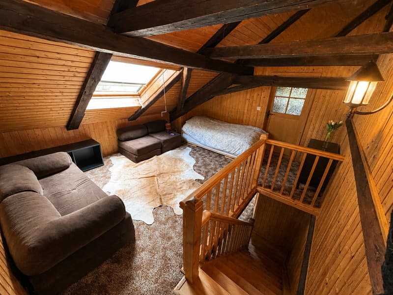 Chalet de charme au coeur des narcisses (7)