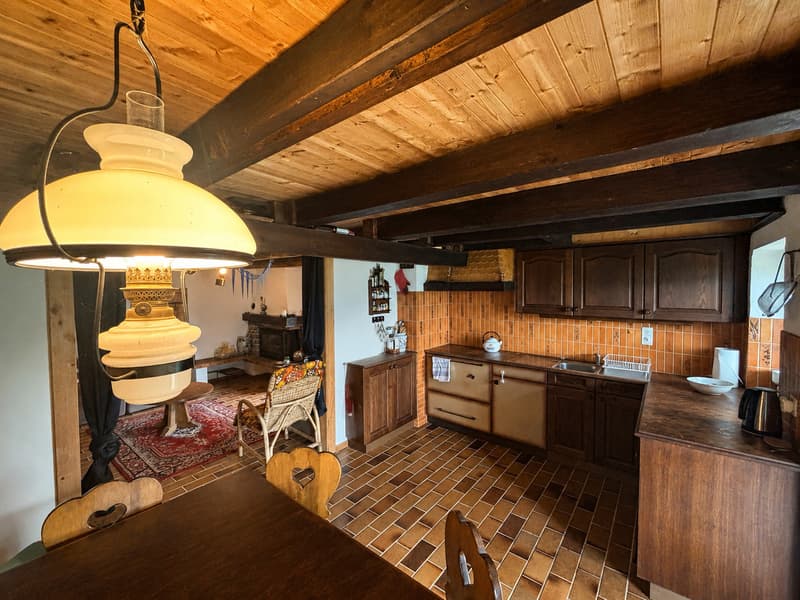 Chalet de charme au coeur des narcisses (3)