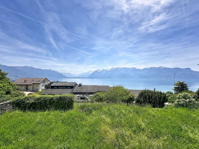 Magnifique villa accolée avec une vue imprenable sur le lac Léman (1)