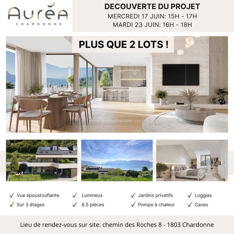 Magnifique villa accolée avec une vue imprenable sur le lac Léman (2)