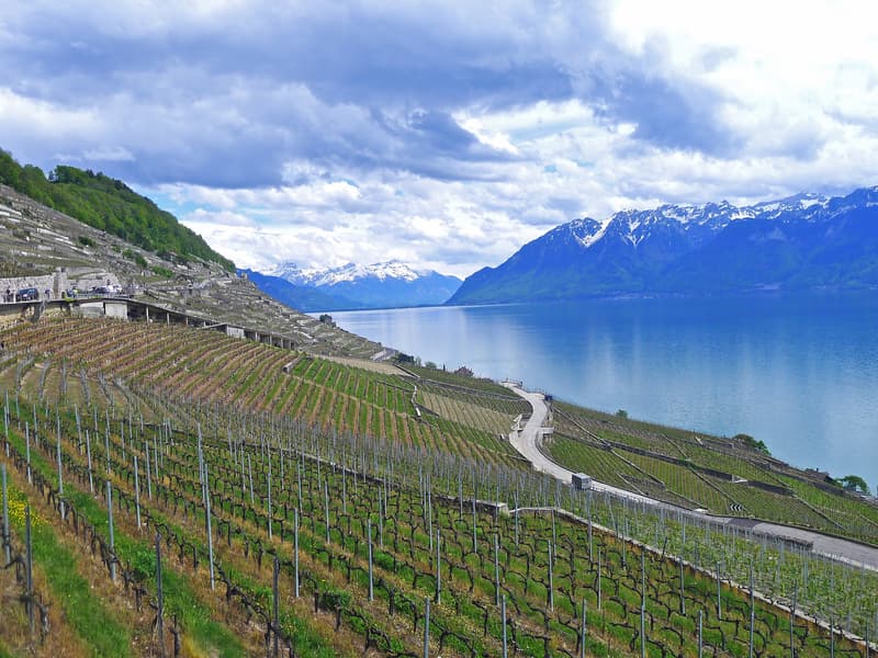 Belle maison vigneronne entièrement rénovée et vues magnifiques ! (1)