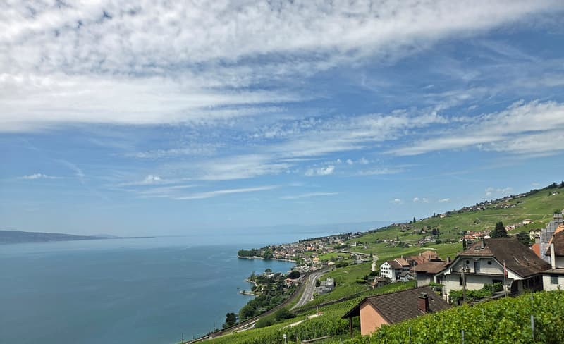 Belle maison vigneronne entièrement rénovée et vues magnifiques ! (1)
