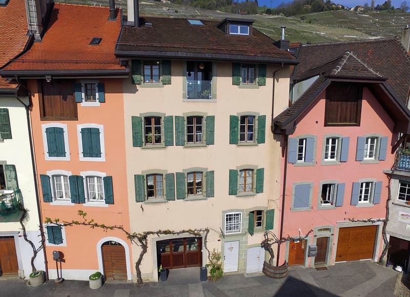 Belle maison vigneronne entièrement rénovée et vues magnifiques ! (2)