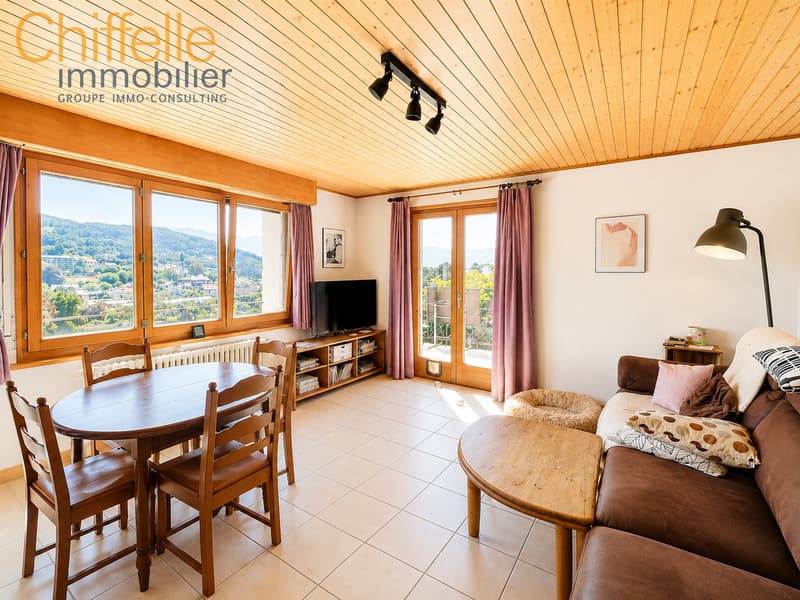 Belle villa familiale avec panorama sur le Léman et les Alpes (3)