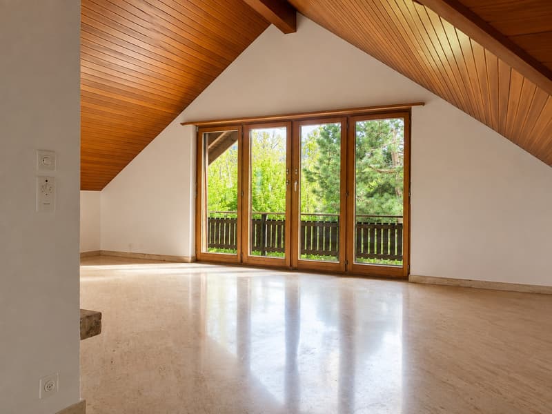 Investissement de choix - 3 logements & cabinet médical (2)