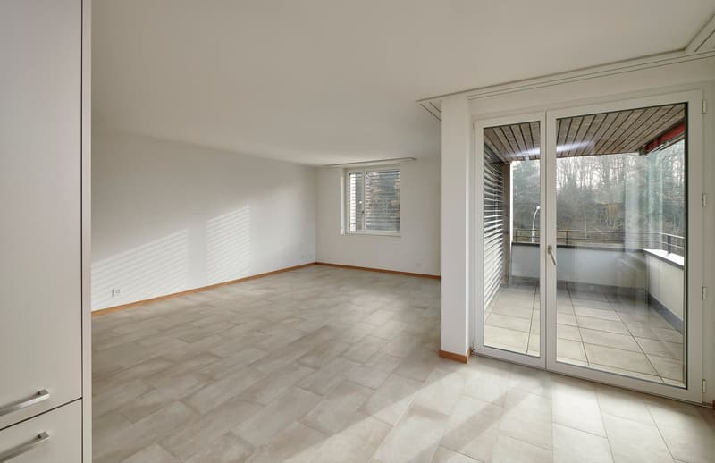 Appartement de 4 pièces à louer - EN COJONNEX (4)