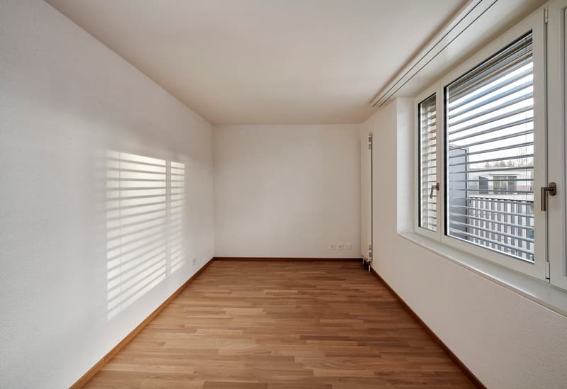 Appartement de 4 pièces à louer - EN COJONNEX (7)