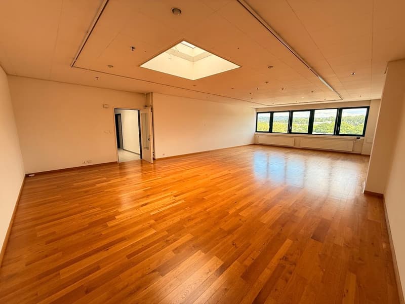 Large open office space with hardwood floors, high ceilings, and large windows providing a view of the surrounding area. The room has a square skylight in the center of the ceiling and appears to be suitable for use as an office or commercial space.
