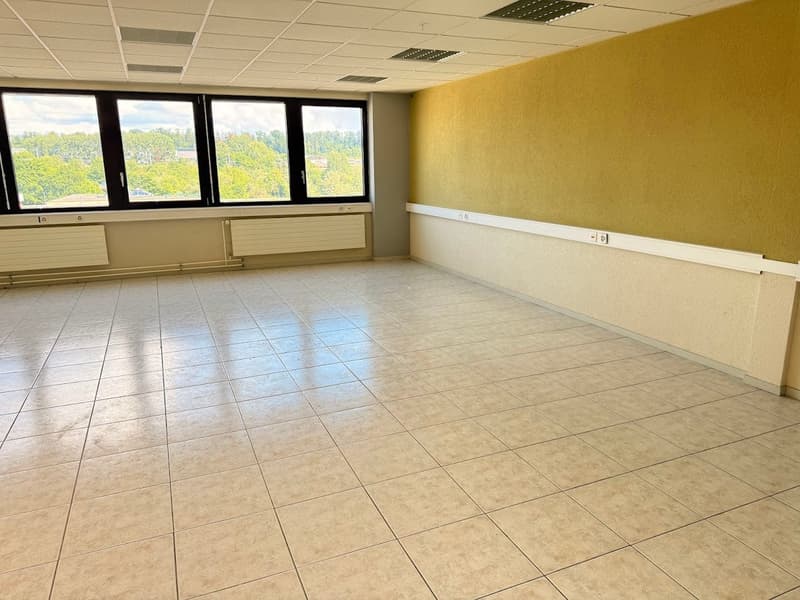 The image shows a large, open office space with a tiled floor and large windows overlooking a wooded area outside. The walls are painted a light yellow color, and the room has a suspended ceiling with lighting fixtures. The space appears to be empty and r
