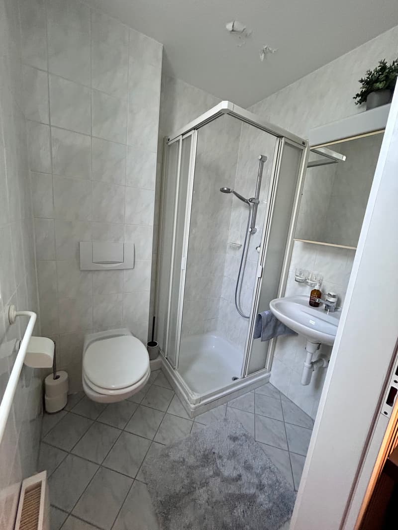 Magnifique appartement de 4 pièces en duplex avec grande terrasse et jardin à Pully (12)