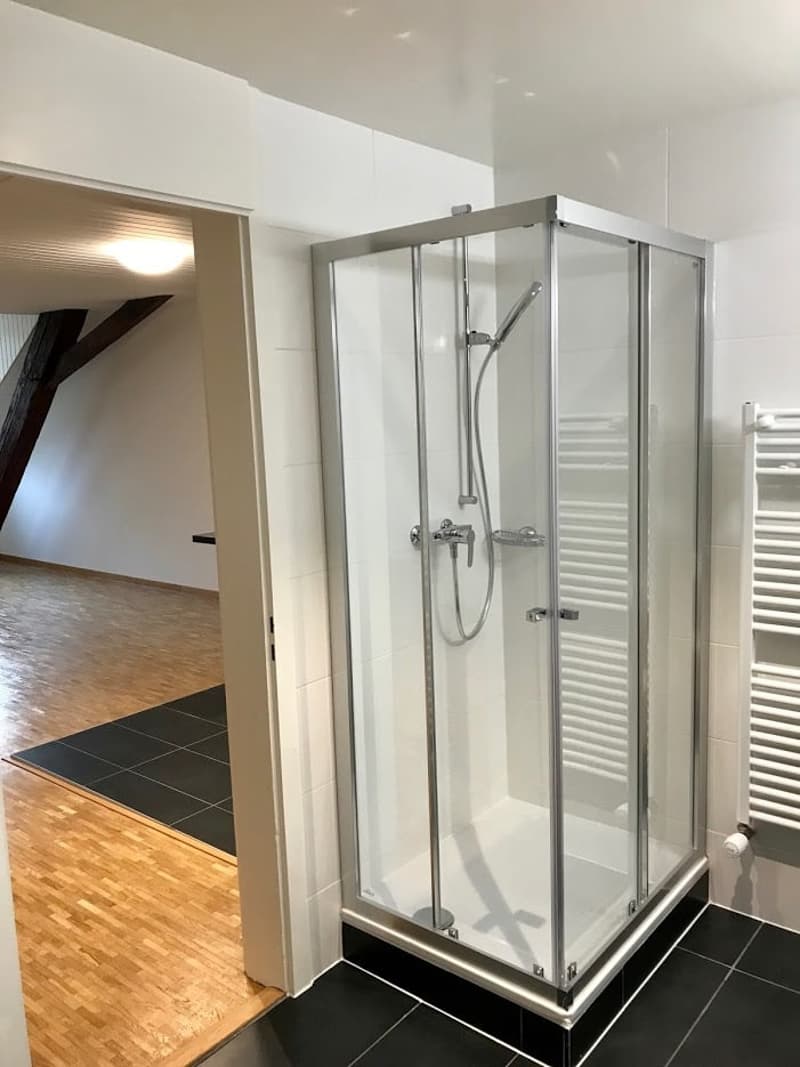 Charmant appartement de 2.5 pièces au cœur de Lausanne (10)