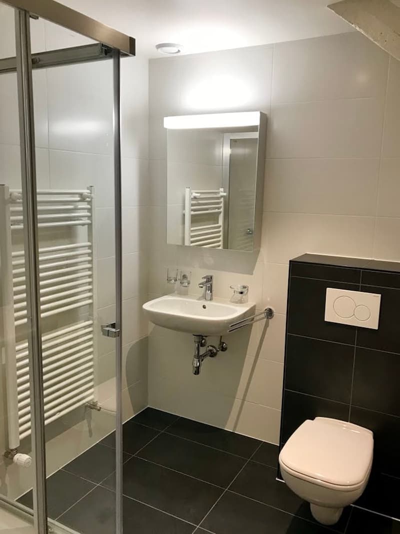 Charmant appartement de 2.5 pièces au cœur de Lausanne (8)