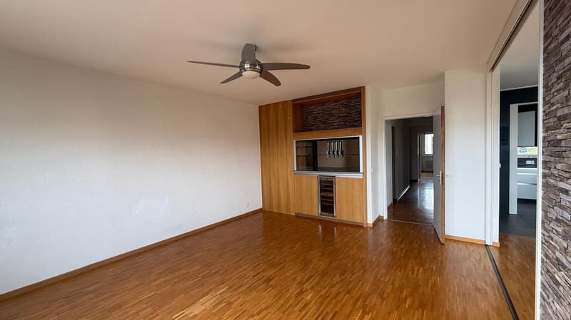 Magnifique appartement avec vue sur le Lac (5)