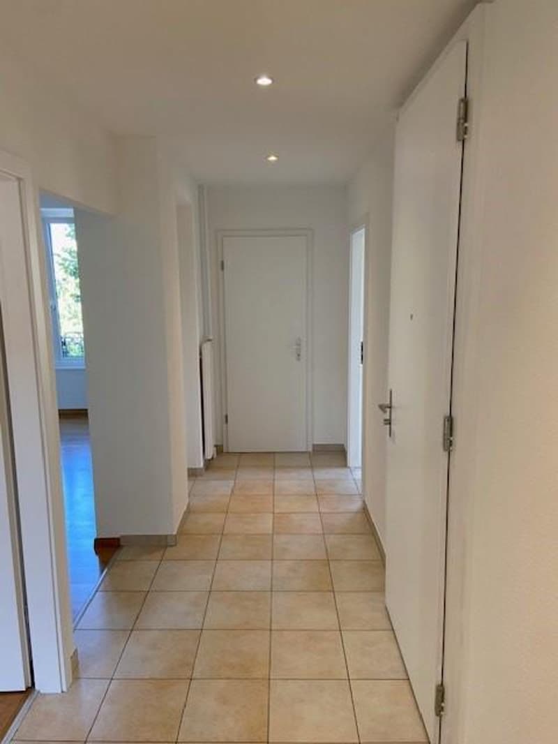 Appartement 3,5 pièces dans petit immeuble (5)
