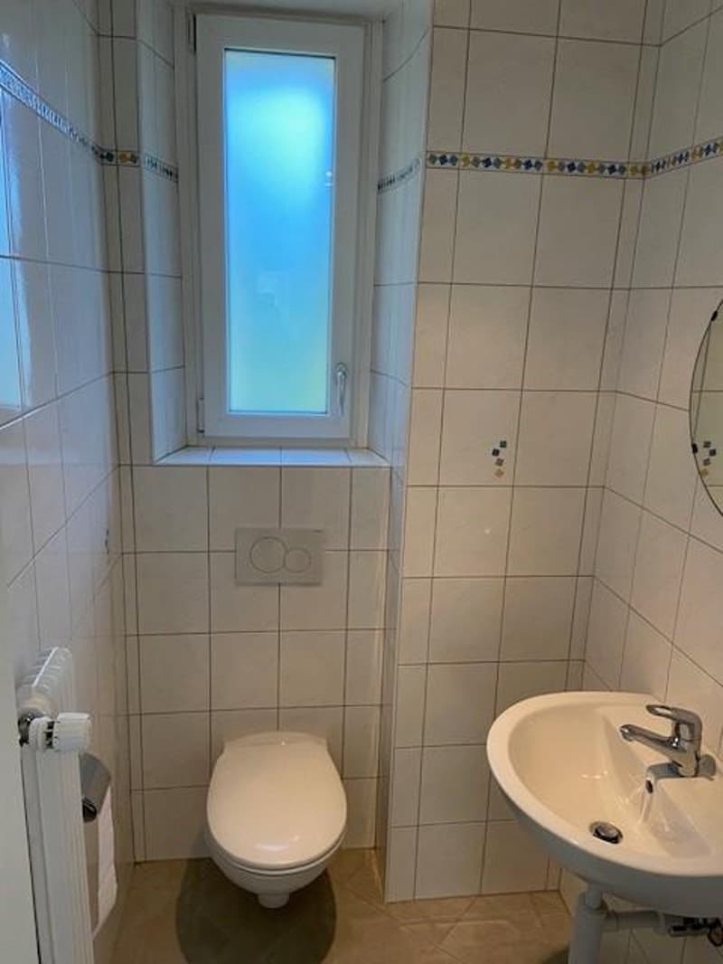 Appartement 3,5 pièces dans petit immeuble (11)