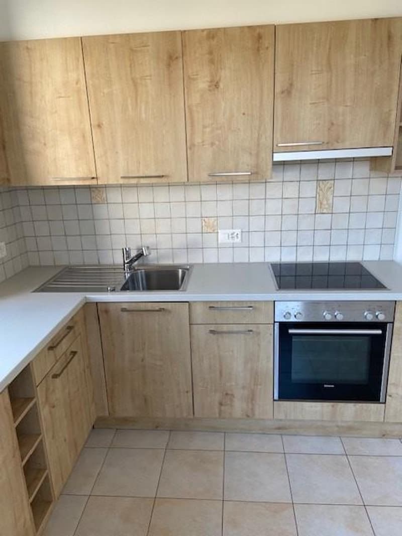 Appartement 3,5 pièces dans petit immeuble (8)