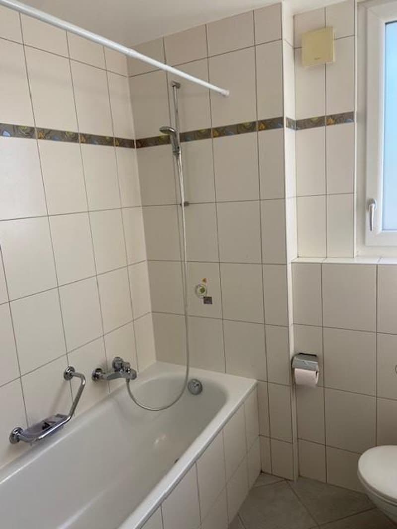 Appartement 3,5 pièces dans petit immeuble (10)