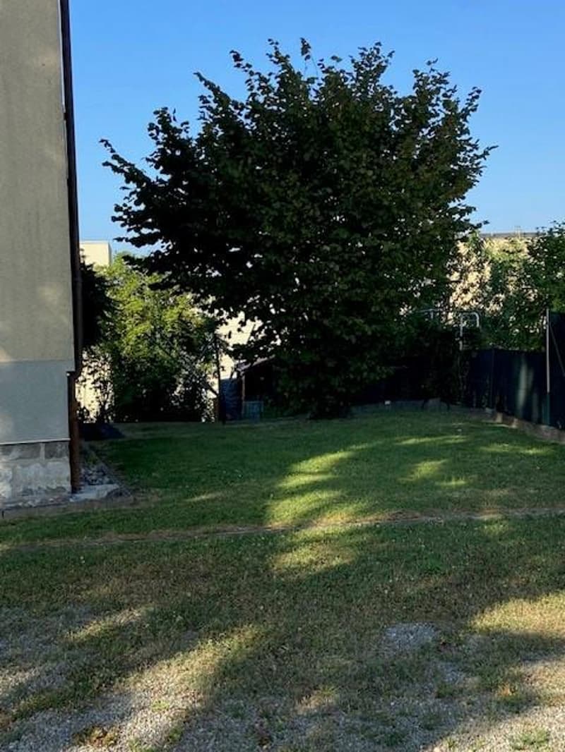 Appartement 3,5 pièces dans petit immeuble (4)