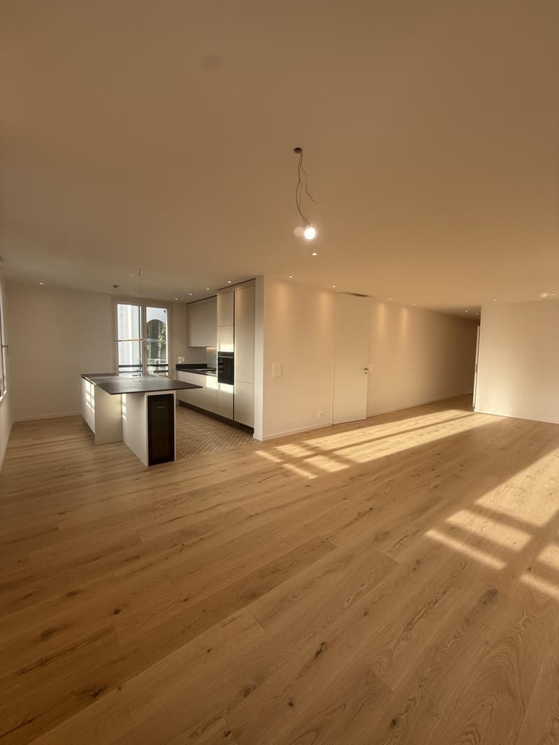 Appartement neuf de 3,5 pièces avec une jolie vue à Montreux (4)