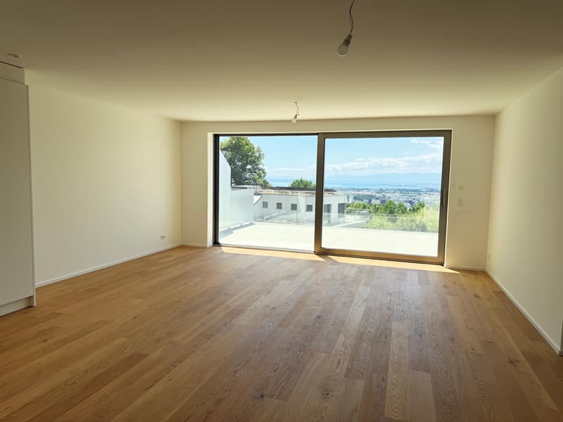 2.5 pièces en attique avec grande terrasse et vue sur le lac (3)