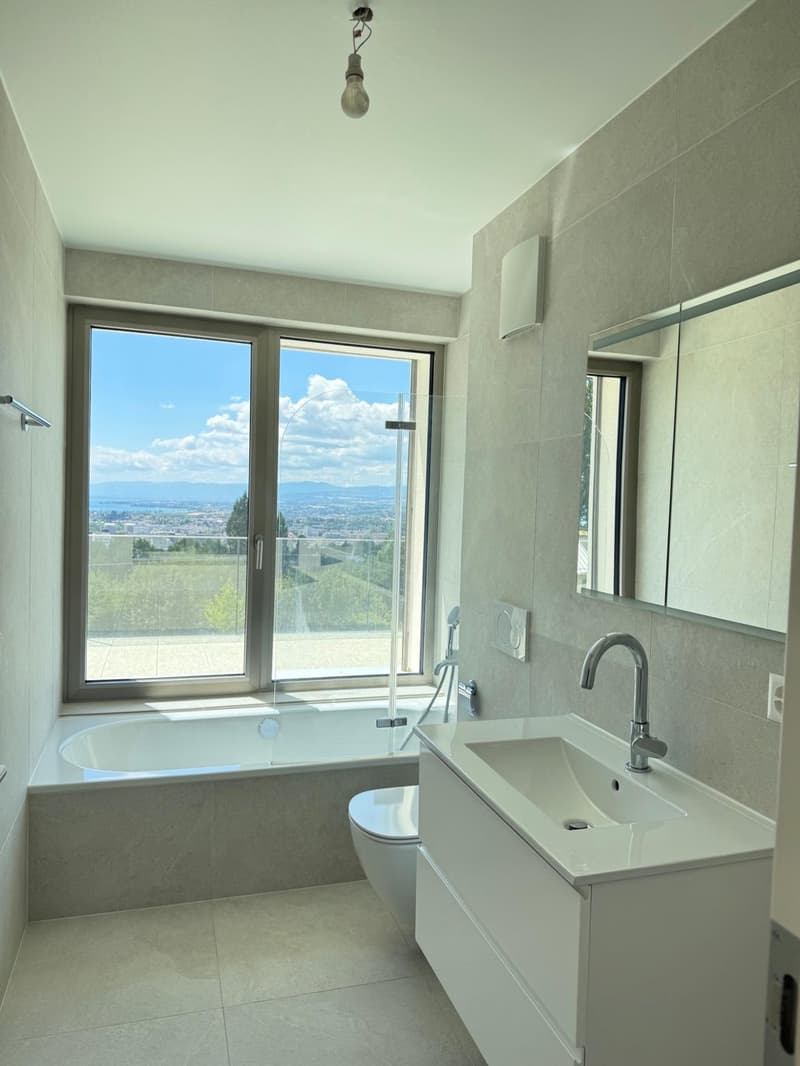 2.5 pièces en attique avec grande terrasse et vue sur le lac (5)