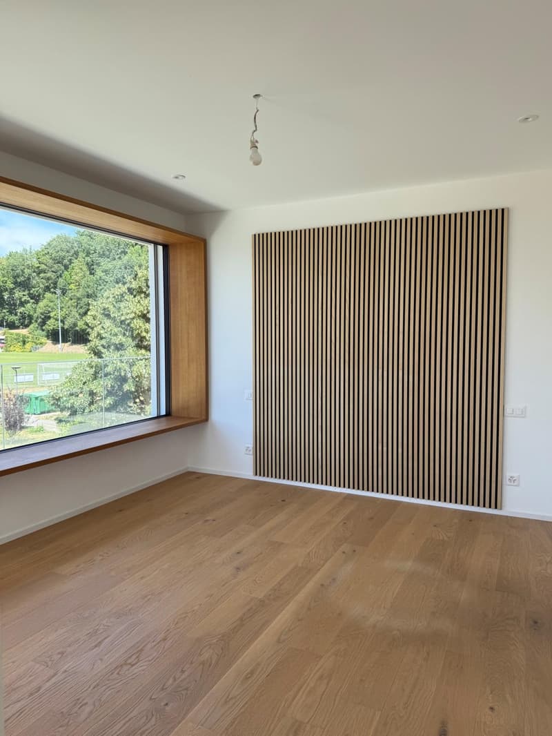 2.5 pièces en attique avec grande terrasse et vue sur le lac (6)