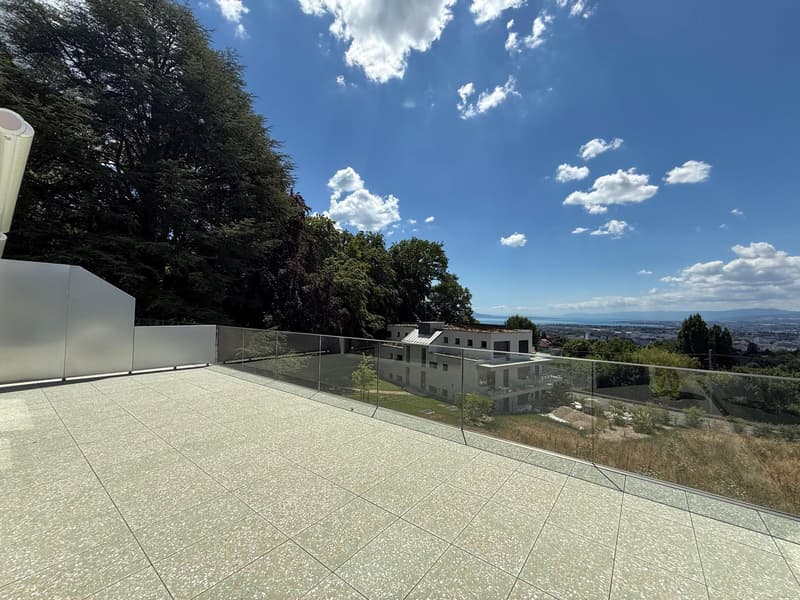 2.5 pièces en attique avec grande terrasse et vue sur le lac (1)