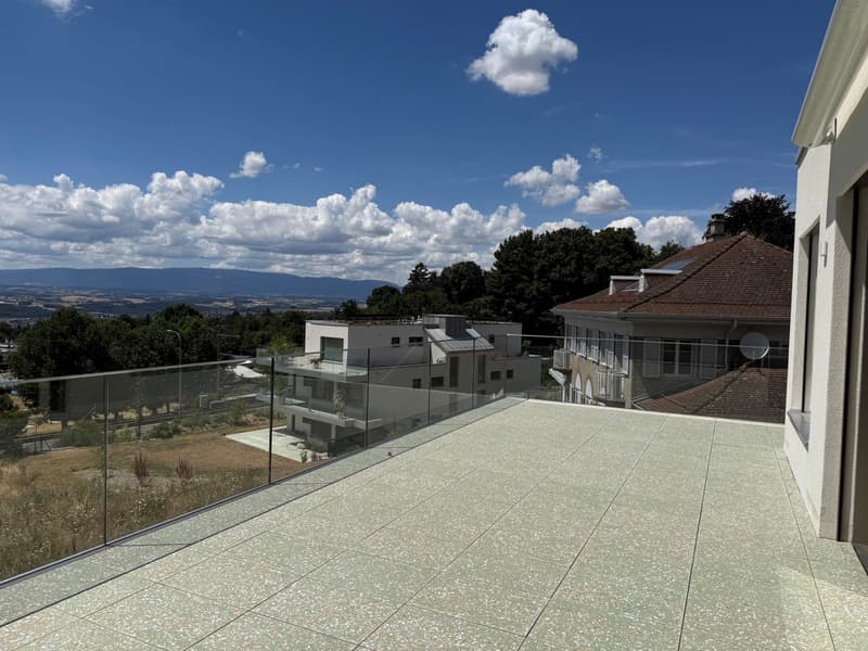 2.5 pièces en attique avec grande terrasse et vue sur le lac (2)