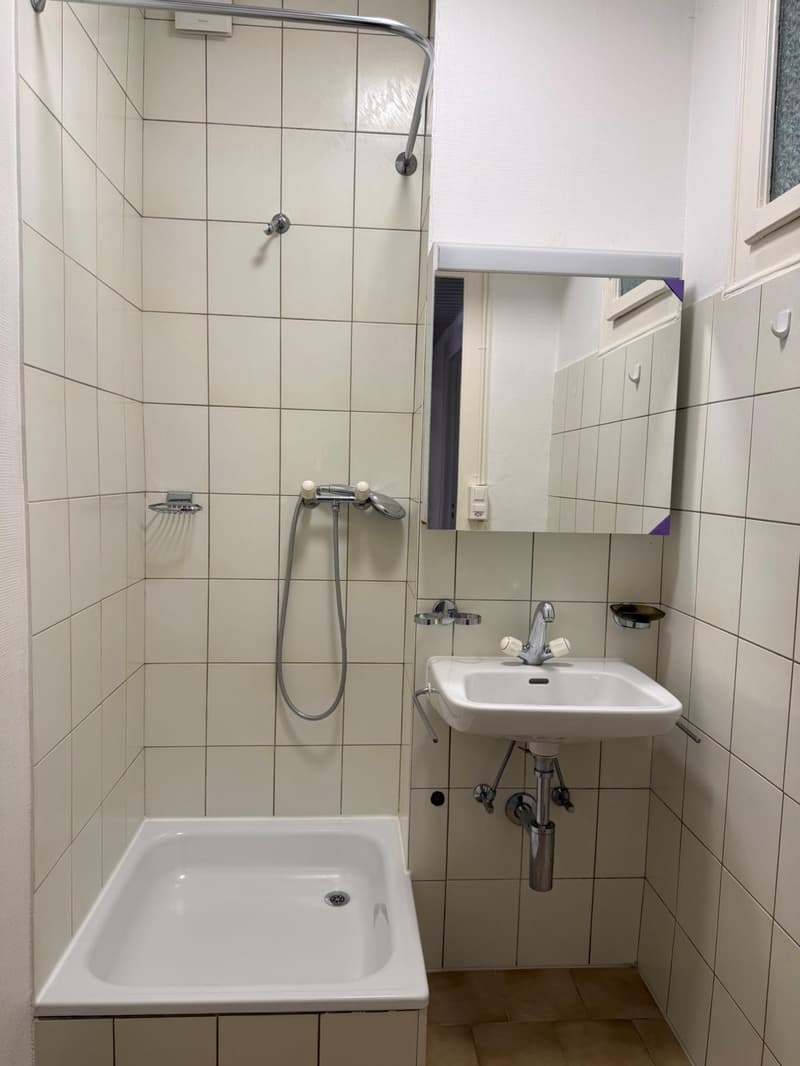 Bel appartement de 3.5 pièces proche du lac (6)