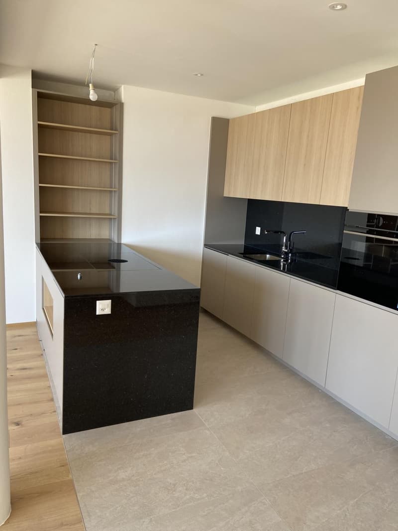Magnifique appartement de 4 pièces entièrement rénové avec belle terrasse (5)