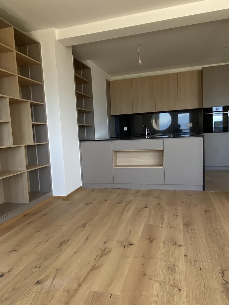 Magnifique appartement de 4 pièces entièrement rénové avec belle terrasse (3)