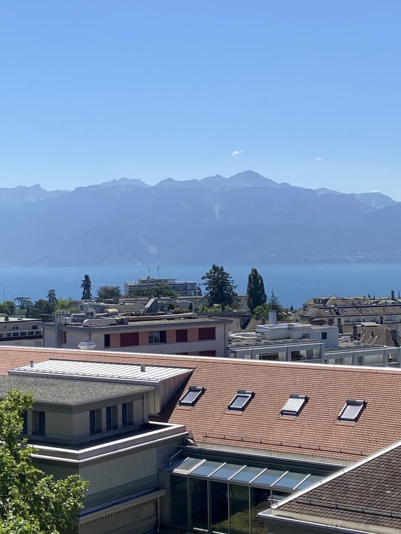 Magnifique appartement de 4 pièces entièrement rénové avec belle terrasse (2)