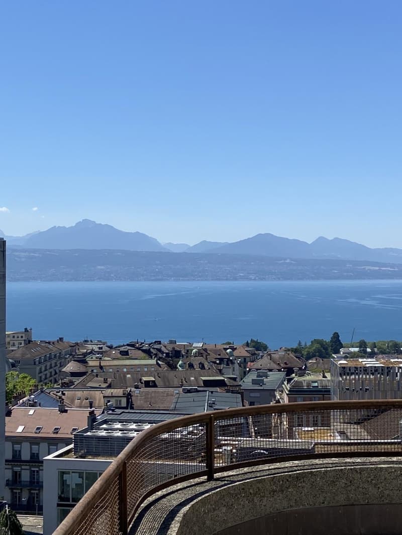 Magnifique appartement de 4 pièces entièrement rénové avec belle terrasse (1)
