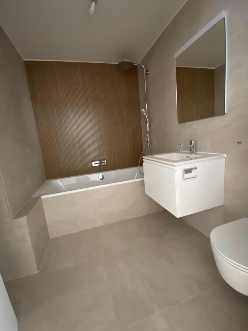 Magnifique appartement de 4 pièces entièrement rénové avec belle terrasse (12)