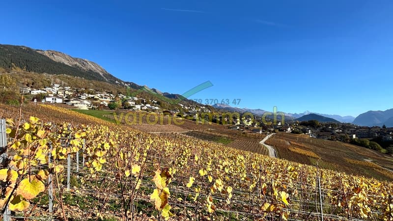Nouvelle promotion à Savièse (1)