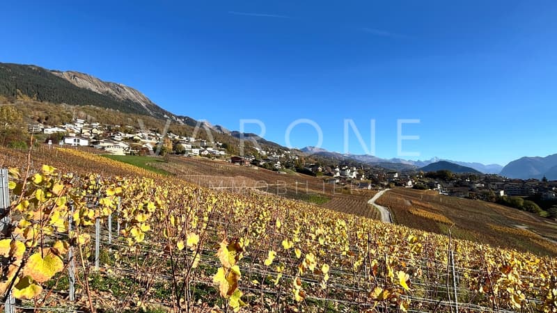 Nouvelle promotion à Savièse (1)