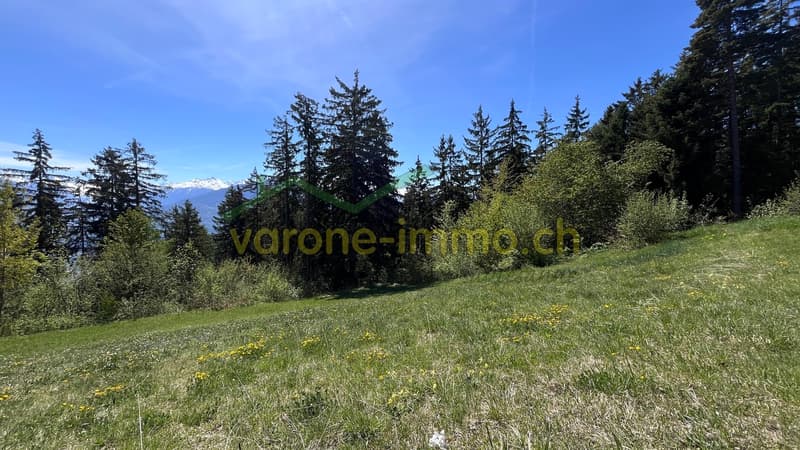 Panorama Ouest