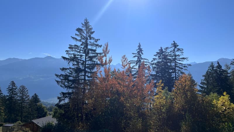 Panorama sud