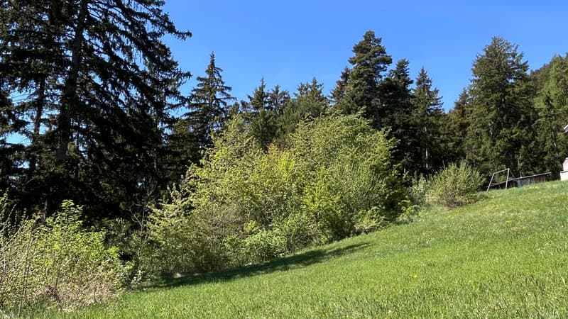 Panorama Nord-Ouest